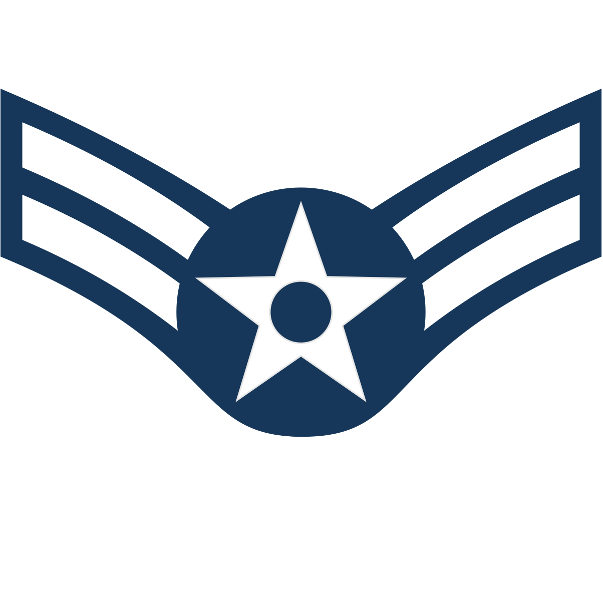 E-3 A1C rank badge