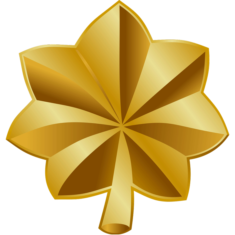 Air Force 04 Major rank insignia