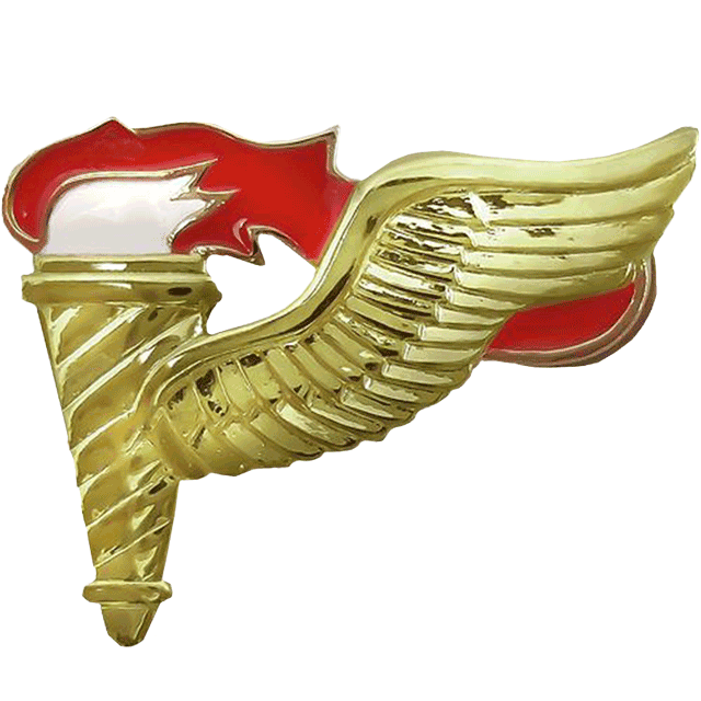 Army Pathfinder Badge