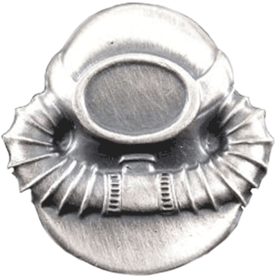 Diver badge